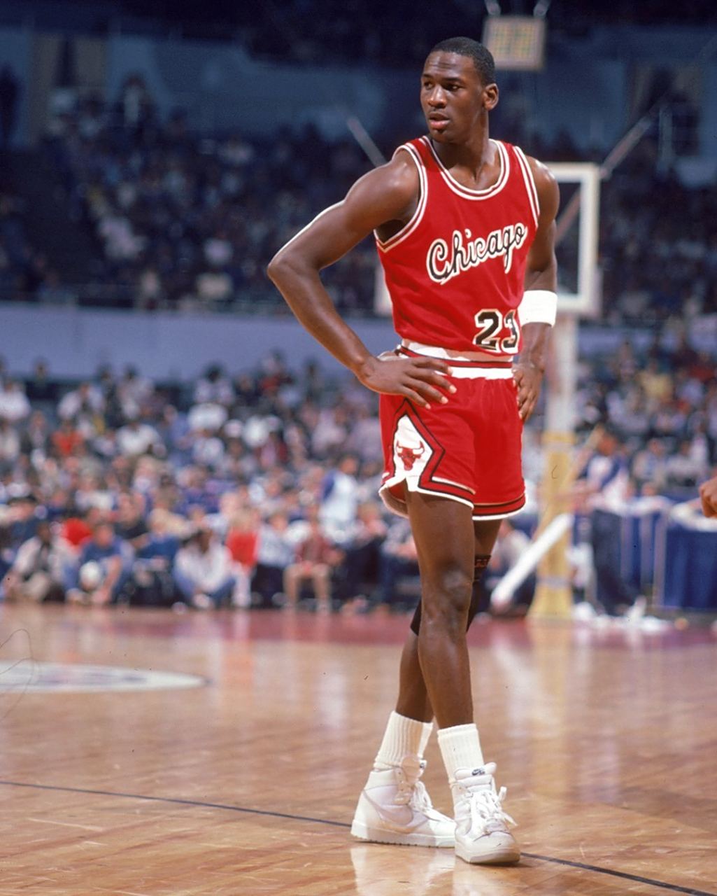 也证明了他 也证明了他