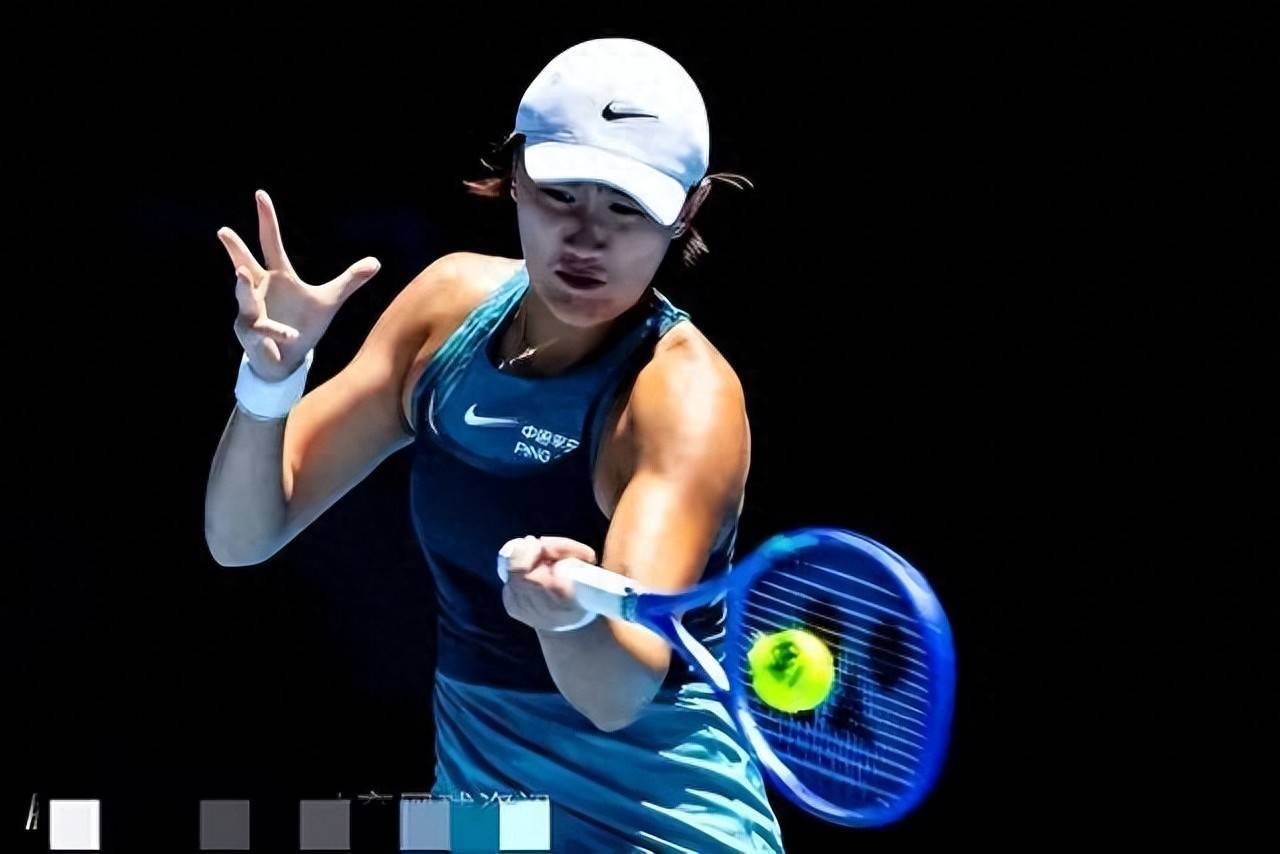 组织或协会 组织或协会