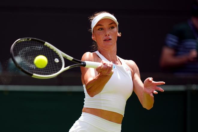 球迷们可以 球迷们可以