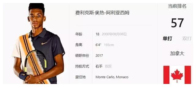 个拼图大师 个拼图大师