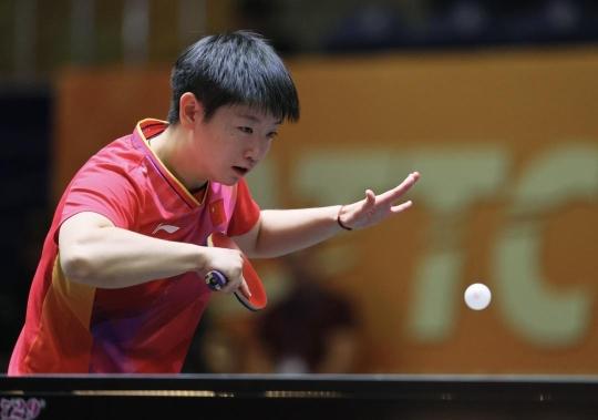 性的认知 性的认知