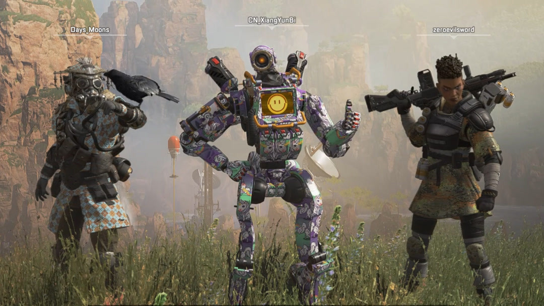 今年的看点 今年的看点