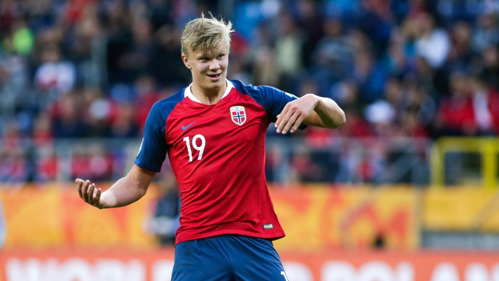 可被训练与 可被训练与